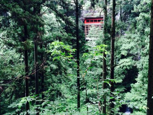 51745001_417178532453264_8775635440142123008_n